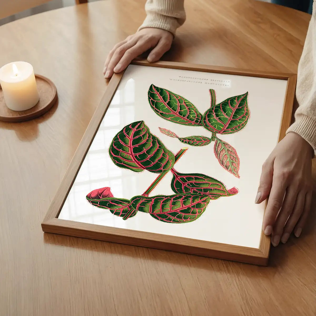 Green Eranthemum leaf botanical illustration print