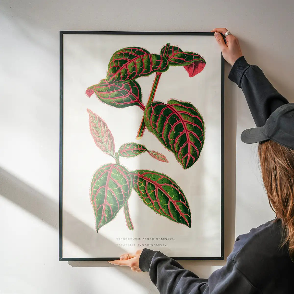 Green Eranthemum leaf botanical illustration print