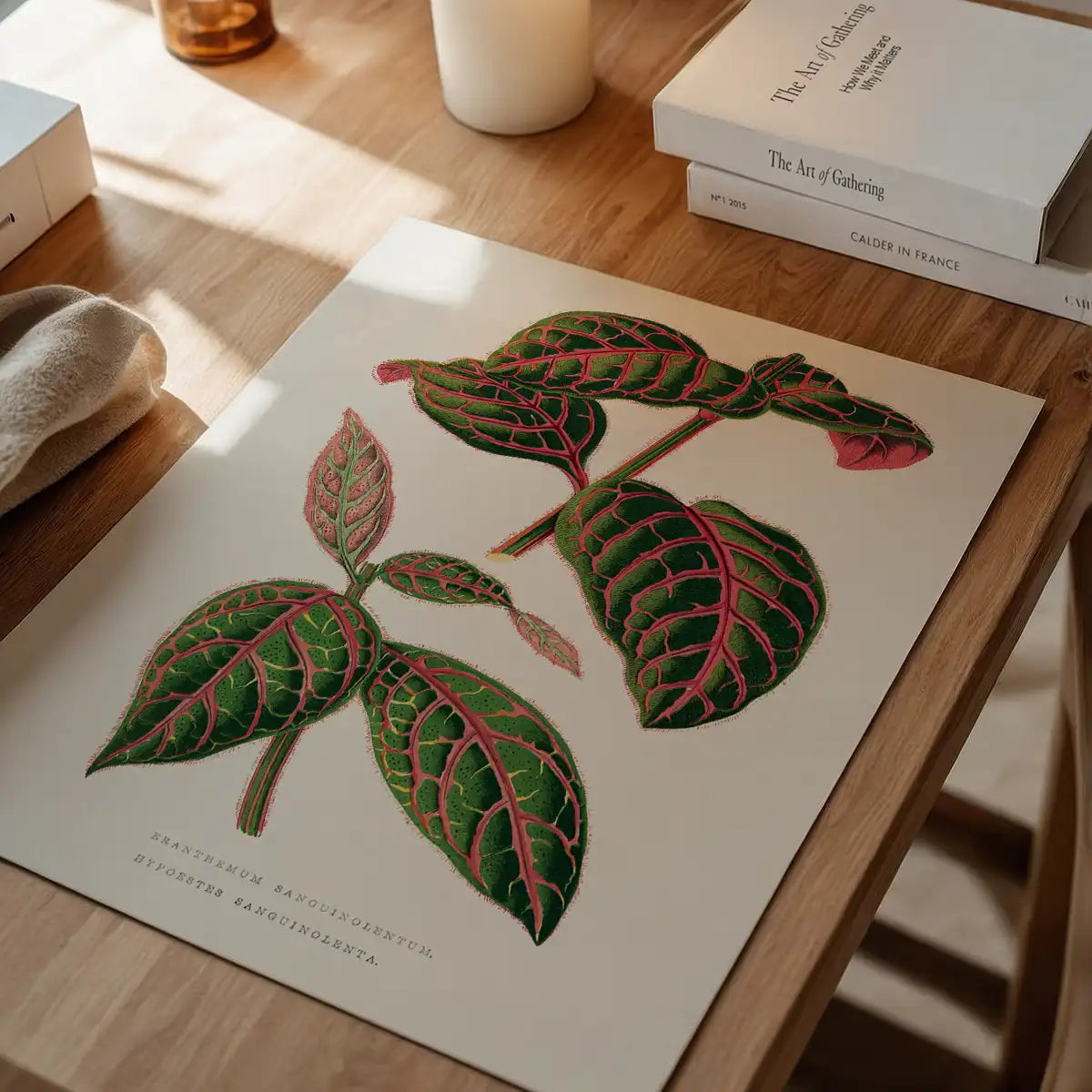 Green Eranthemum leaf botanical illustration print