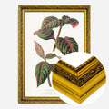 Gold Ornate Frame
