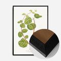 Black Wood Frame