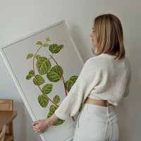 Green Lonicera Brachypoda leaf botanical illustration print