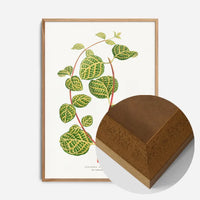 Green Lonicera Brachypoda leaf botanical illustration print