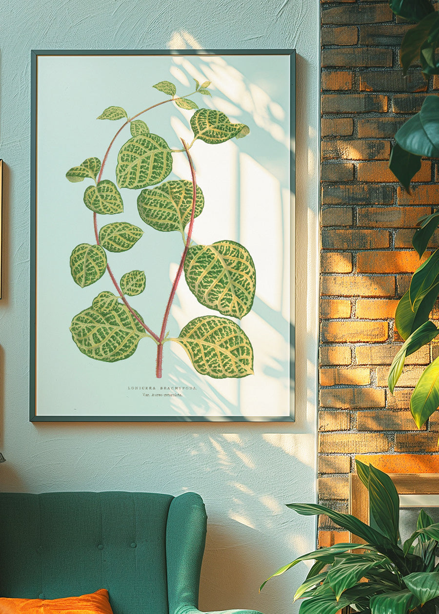 Green Lonicera Brachypoda leaf botanical illustration print