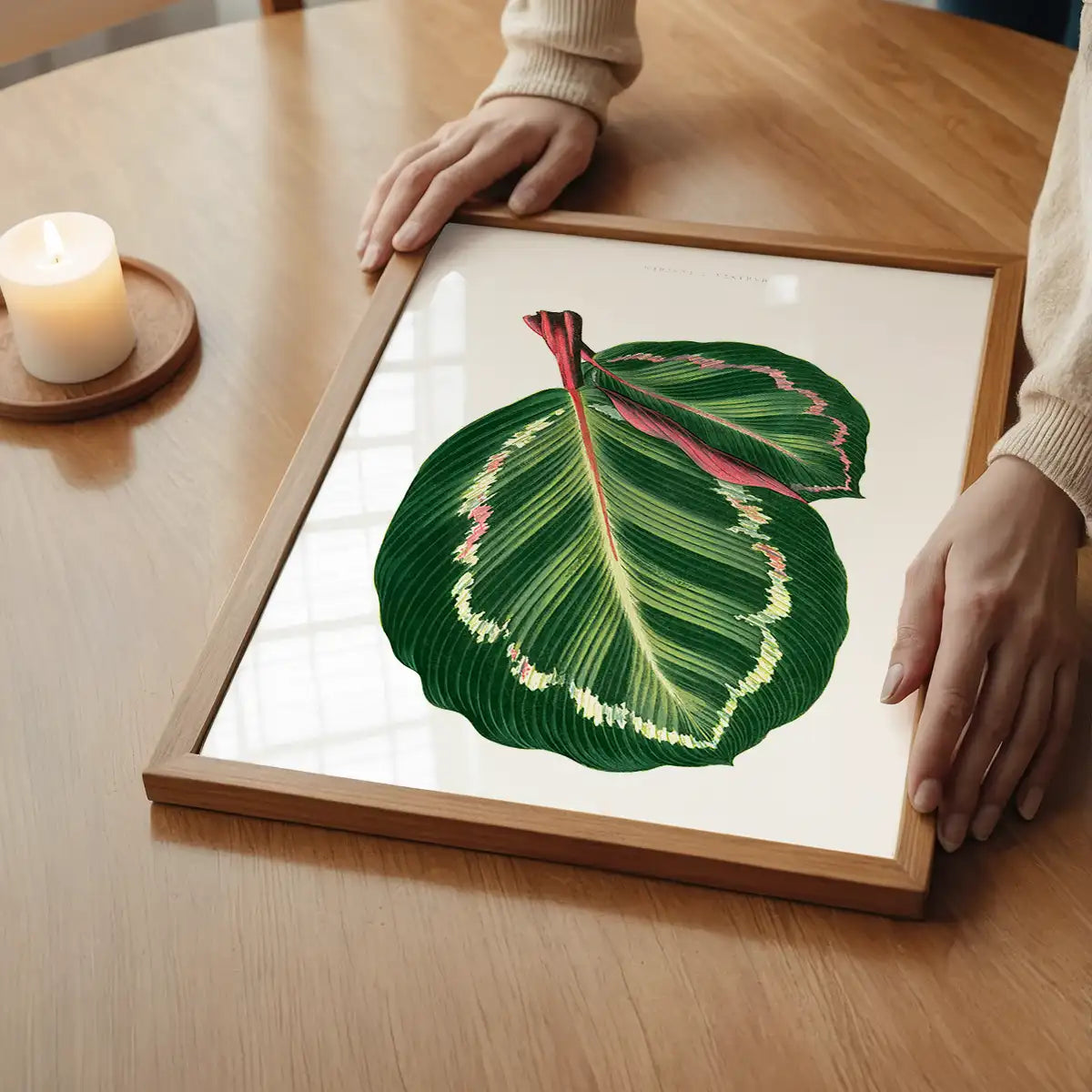 Green Mantara Illustris leaf botanical illustration print