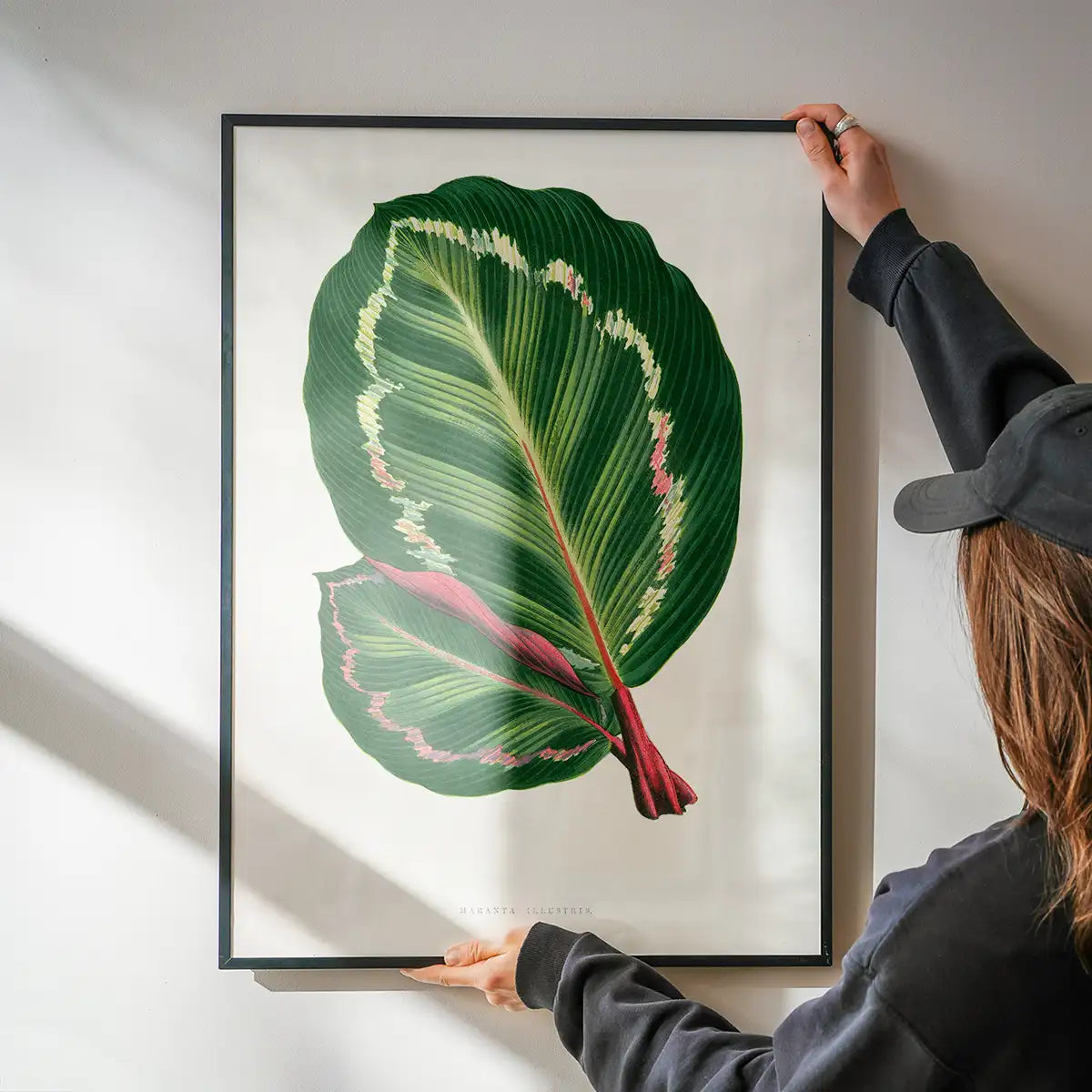 Green Mantara Illustris leaf botanical illustration print