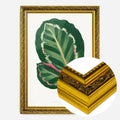 Gold Ornate Frame