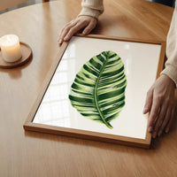 Green Musa Vittata leaf botanical illustration print
