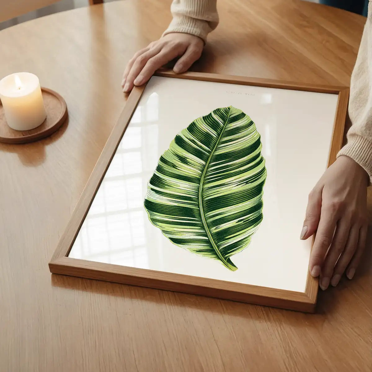 Green Musa Vittata leaf botanical illustration print