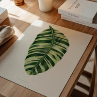 Green Musa Vittata leaf botanical illustration print