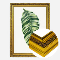 Green Musa Vittata leaf botanical illustration print