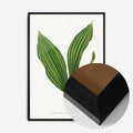 Black Wood Frame