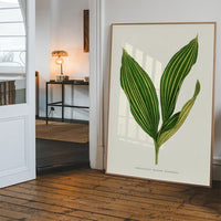 Lily of the valley leaf botanical illustration print