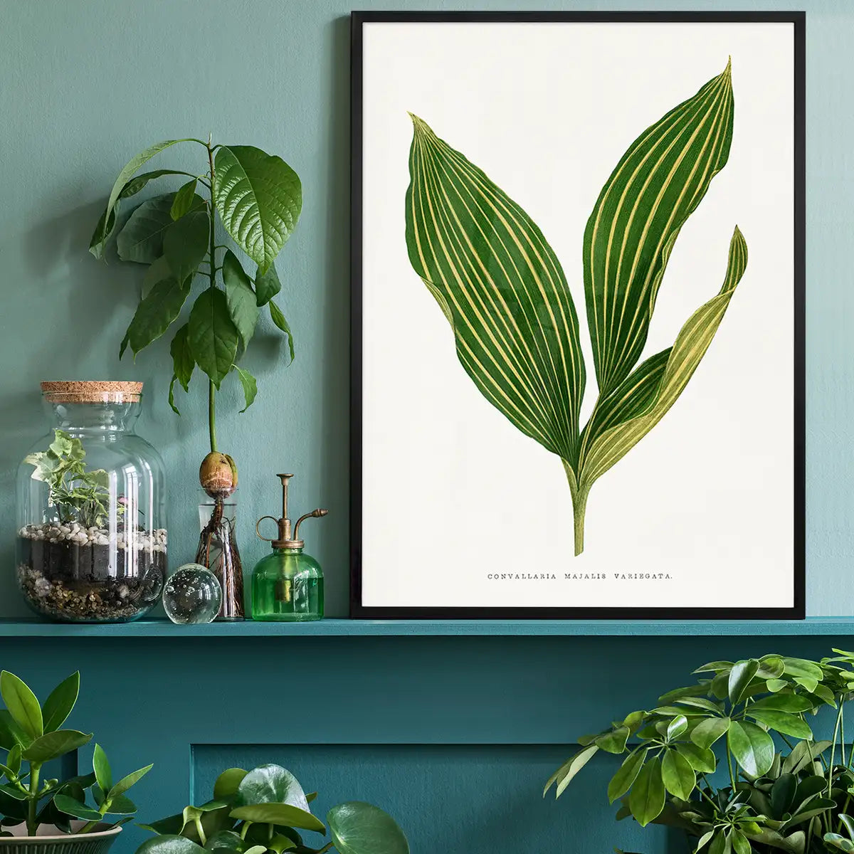 Lily of the valley leaf botanical illustration print