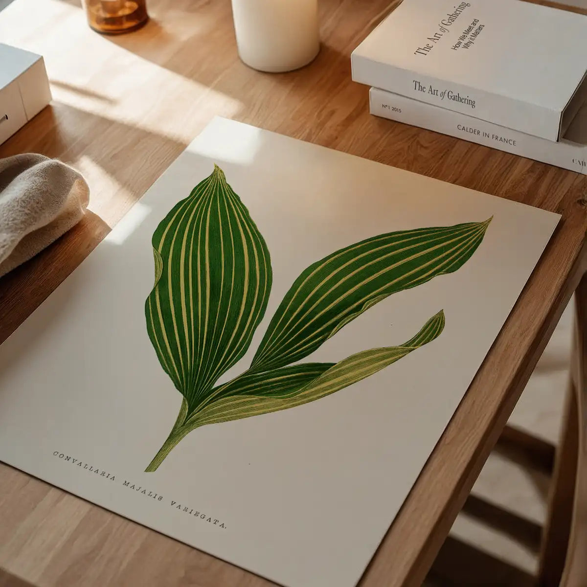 Lily of the valley leaf botanical illustration print