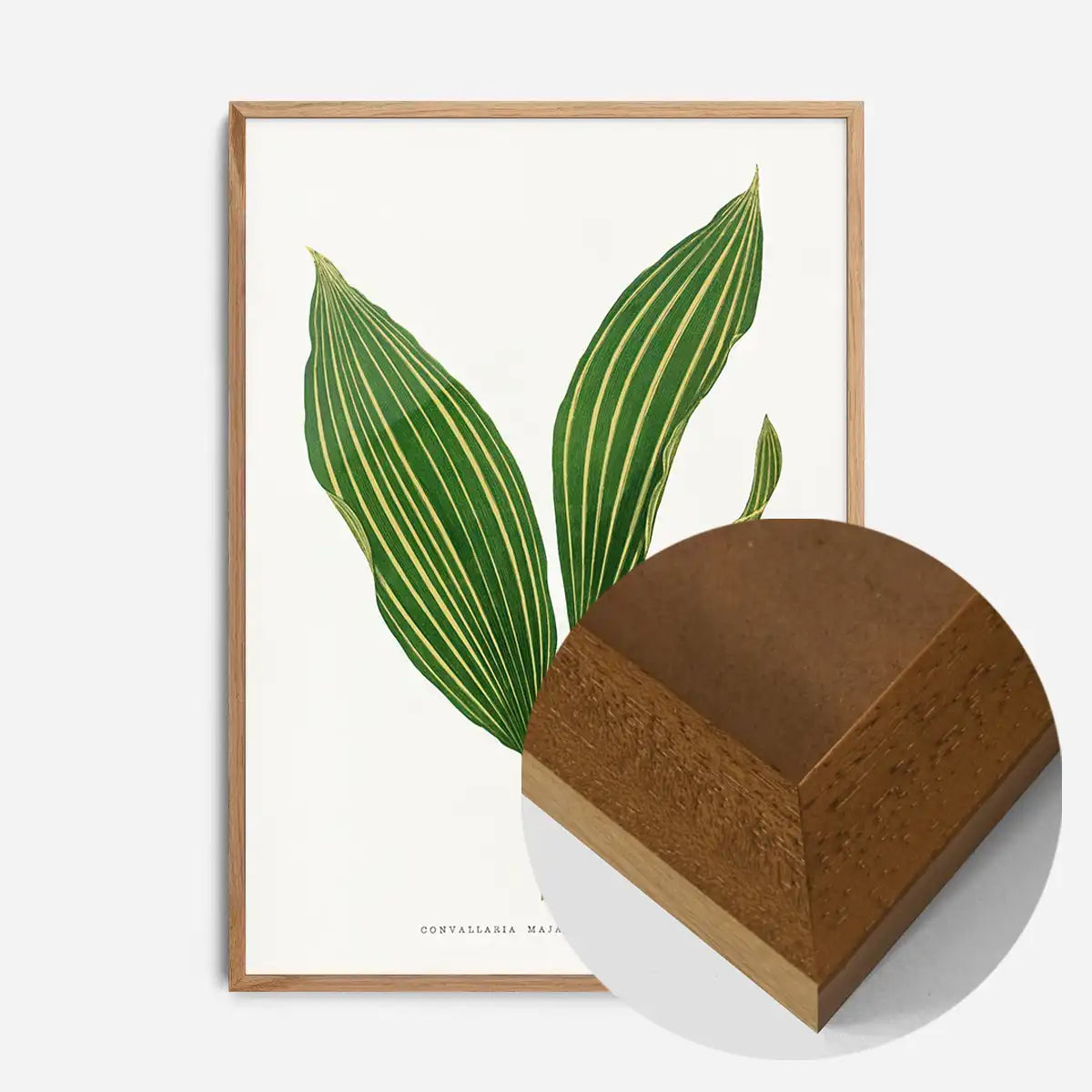Lily of the valley leaf botanical illustration print
