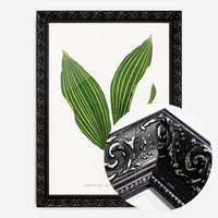 Lily of the valley leaf botanical illustration print