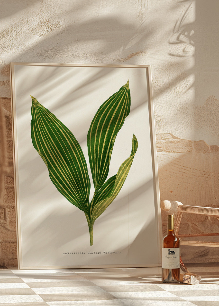 Lily of the valley leaf botanical illustration print