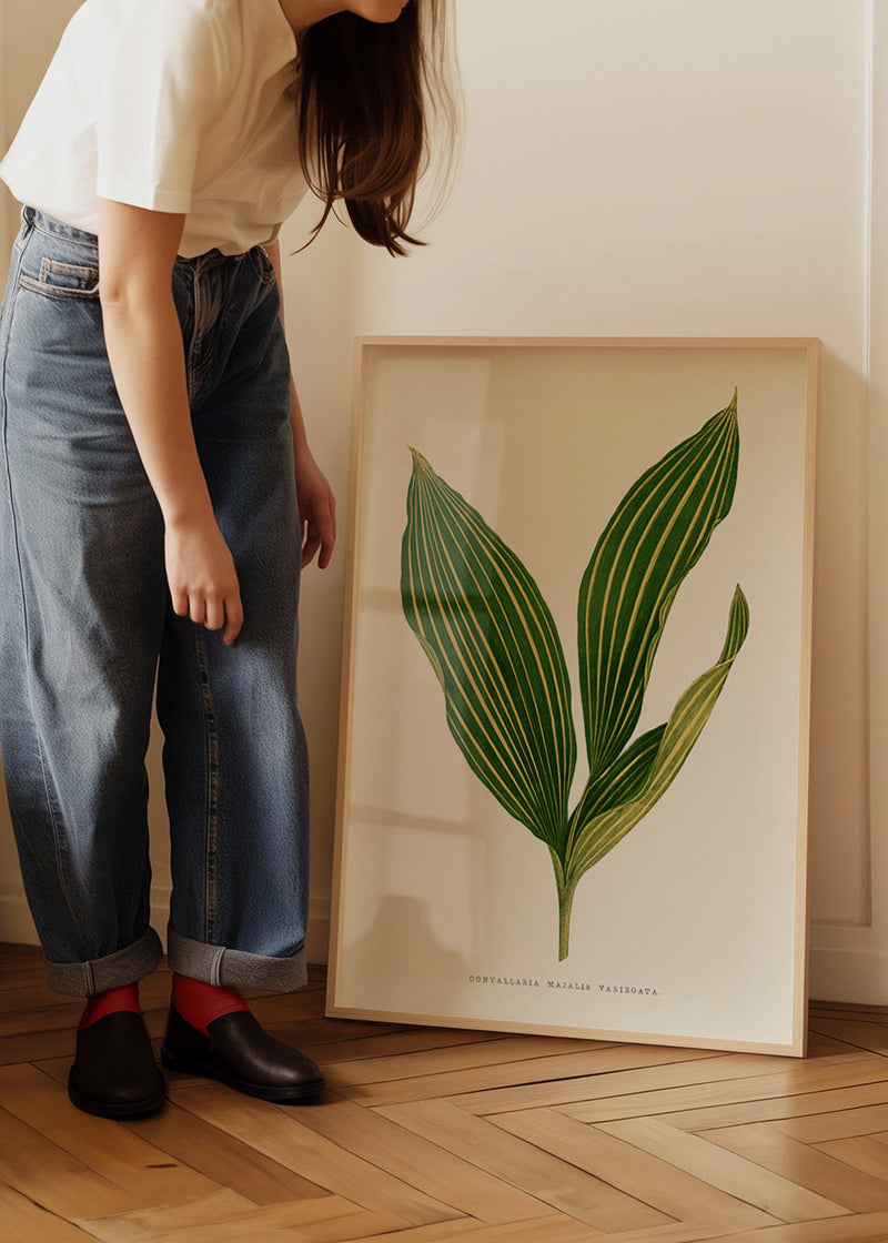 Lily of the valley leaf botanical illustration print