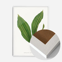Lily of the valley leaf botanical illustration print