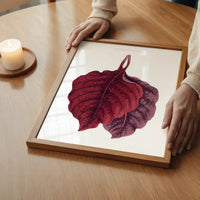 Pink Amarantus leaf botanical illustration print