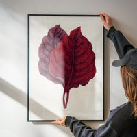 Pink Amarantus leaf botanical illustration print