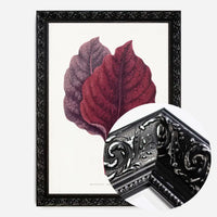 Pink Amarantus leaf botanical illustration print