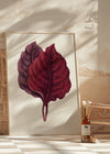 Pink Amarantus leaf botanical illustration print