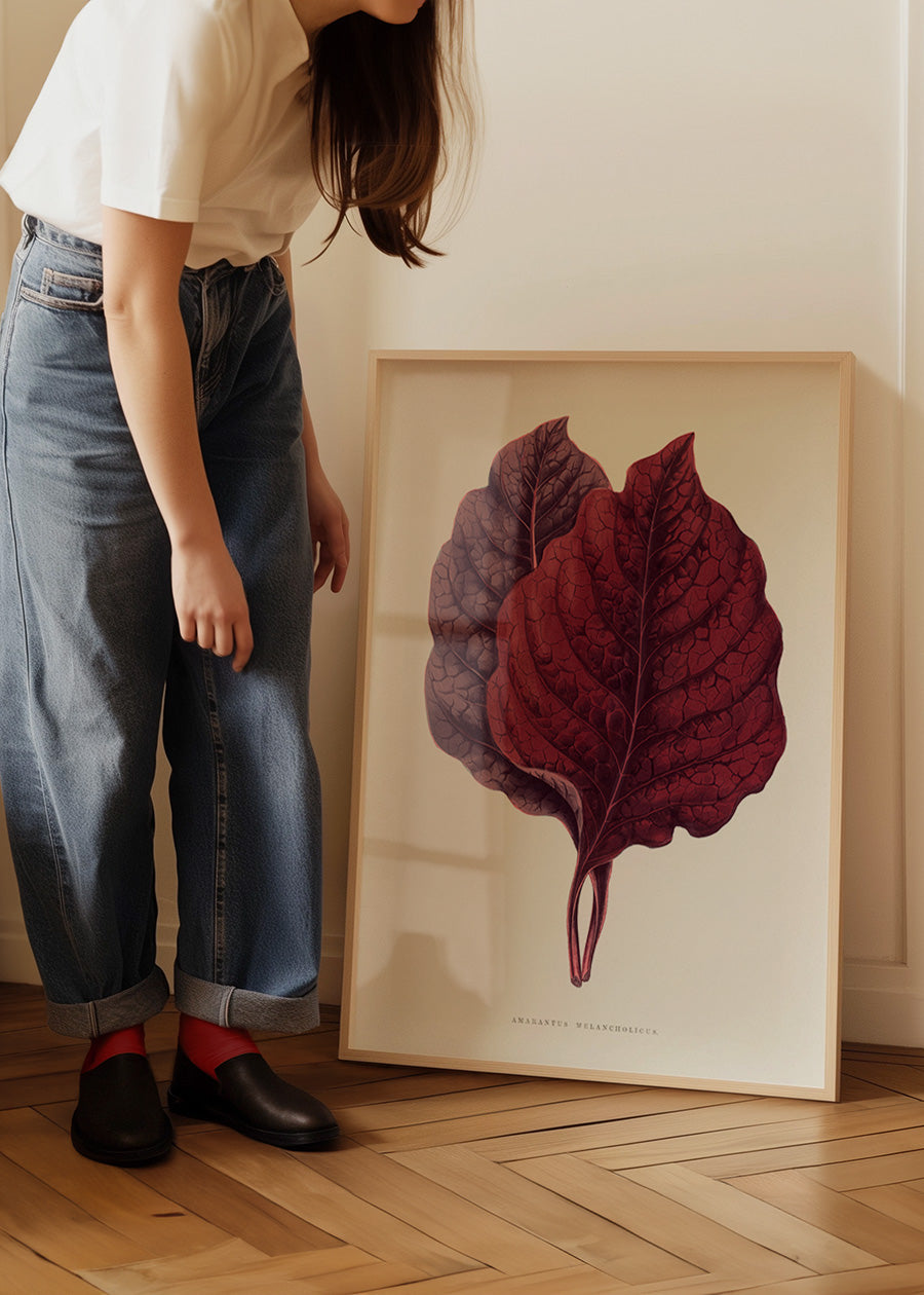 Pink Amarantus leaf botanical illustration print