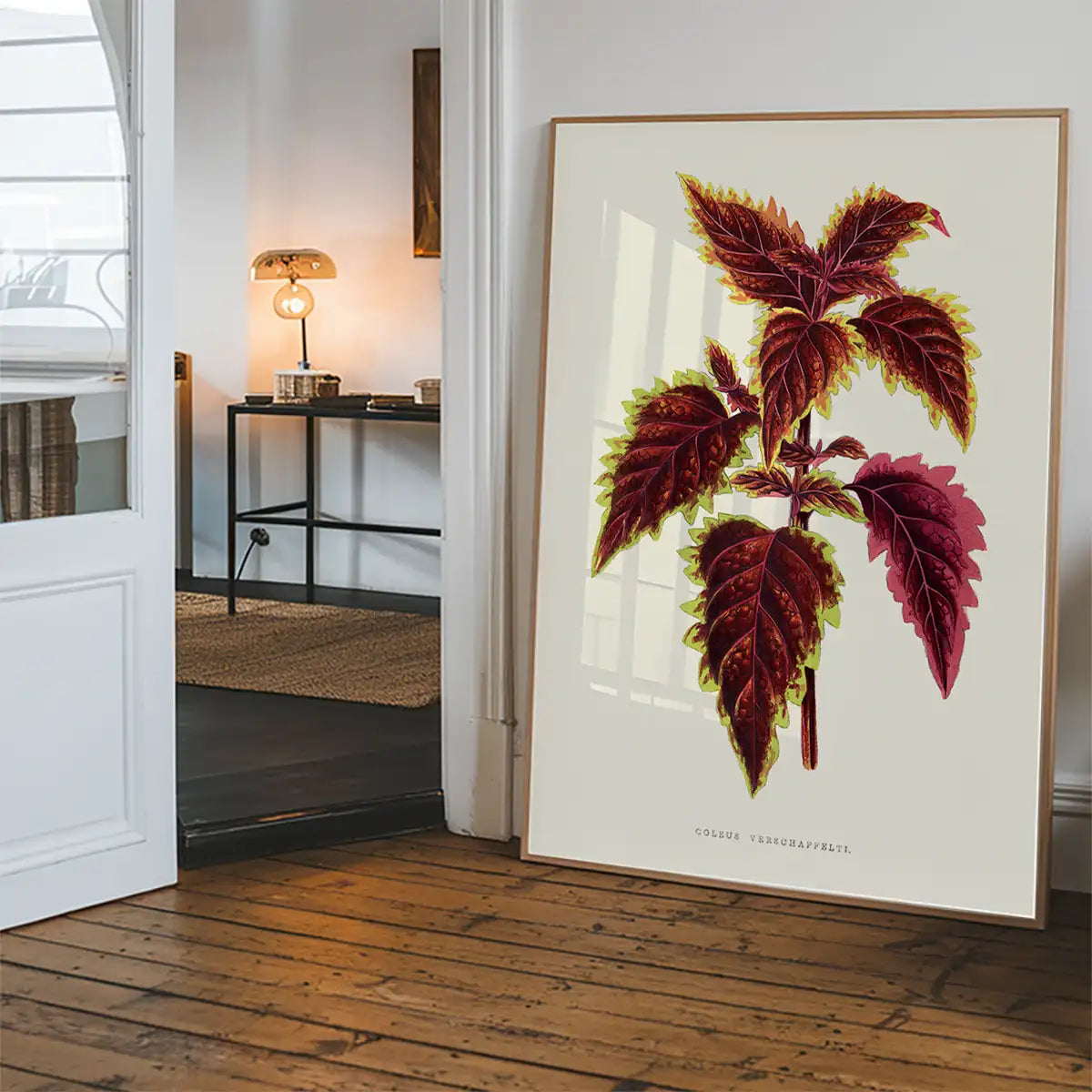 Pink Coleus leaf botanical illustration print