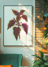 Pink Coleus leaf botanical illustration print