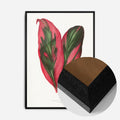 Black Wood Frame