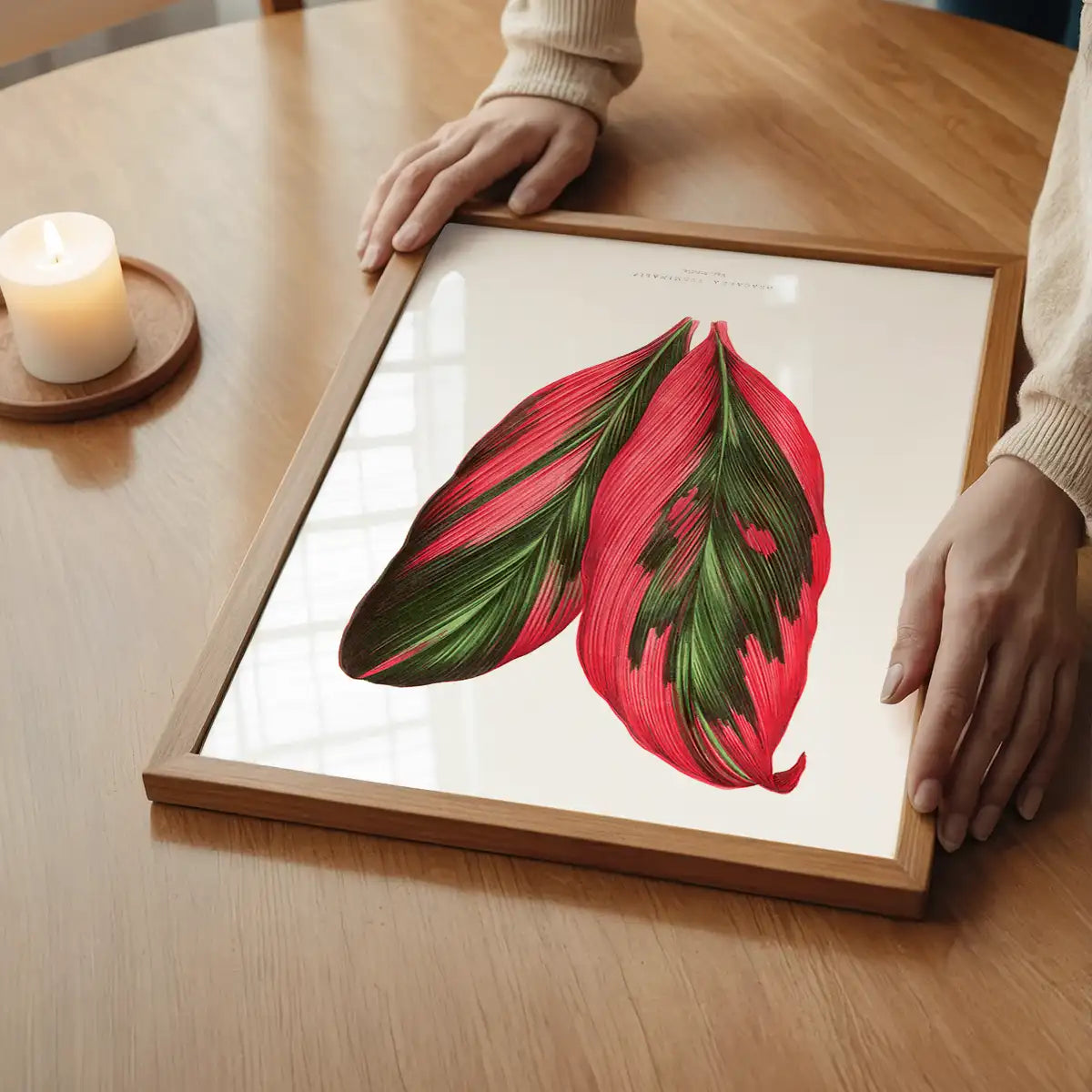 Pink Dracaena Terminalis leaf botanical illustration print
