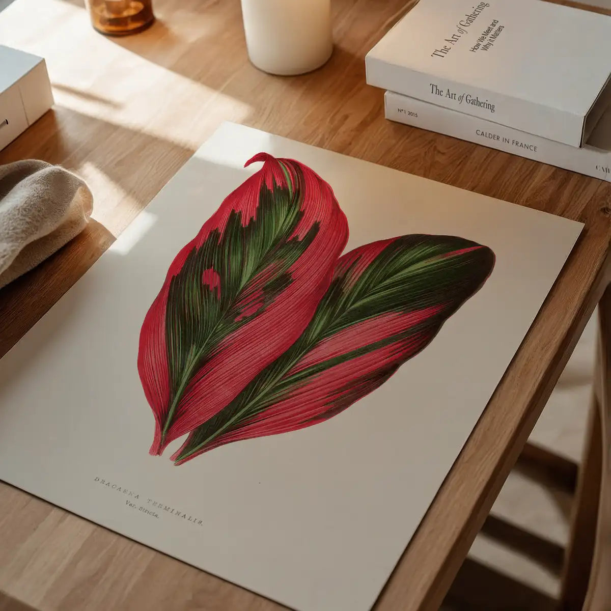 Pink Dracaena Terminalis leaf botanical illustration print