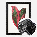 Black Ornate Frame