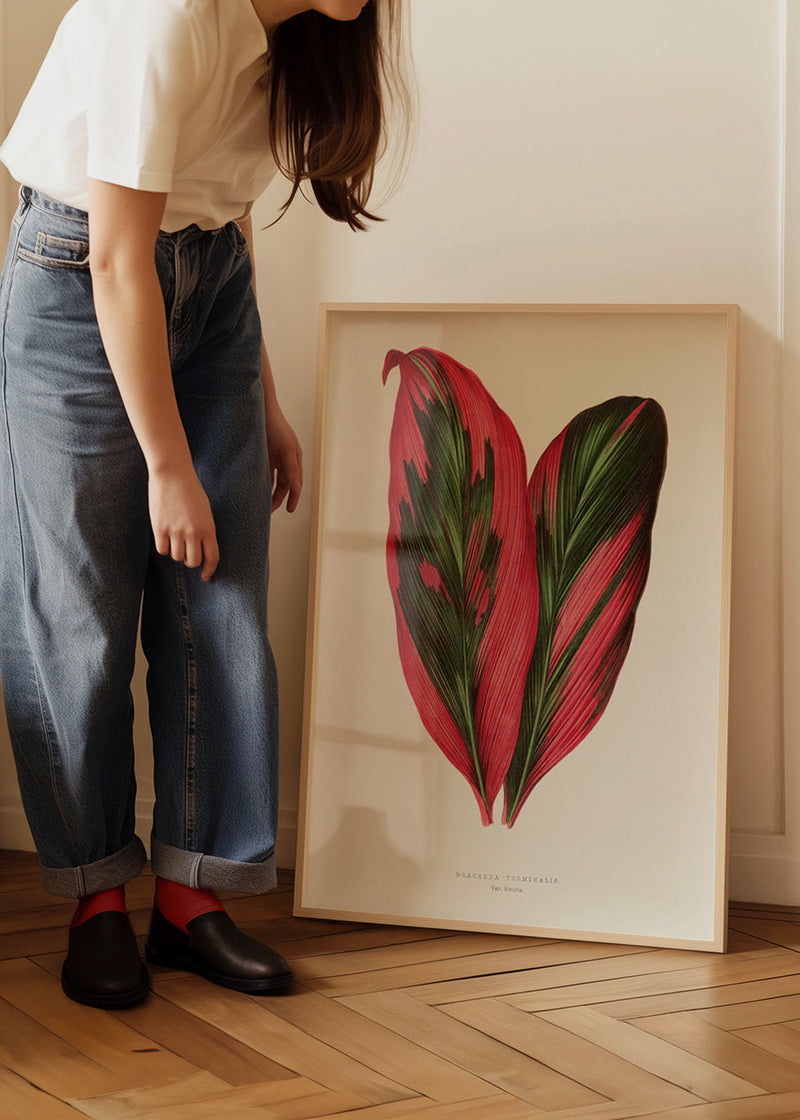 Pink Dracaena Terminalis leaf botanical illustration print