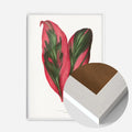 White Wood Frame