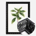Black Ornate Frame