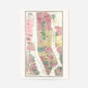 1869 New York City and Vicinity Map by Matthew Dripps