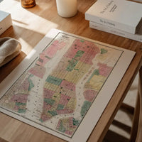 1869 New York City and Vicinity Map by Matthew Dripps