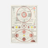 New Ideal Atlas Solar System and Phases of the Moon from 1909