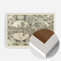 White Wood Frame