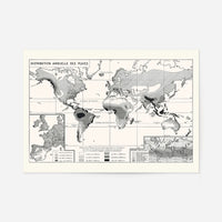 Annual Rainfall Distribution World Map in French