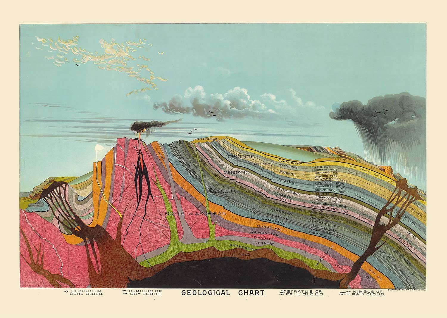 Vintage Geological Chart Free Gift!