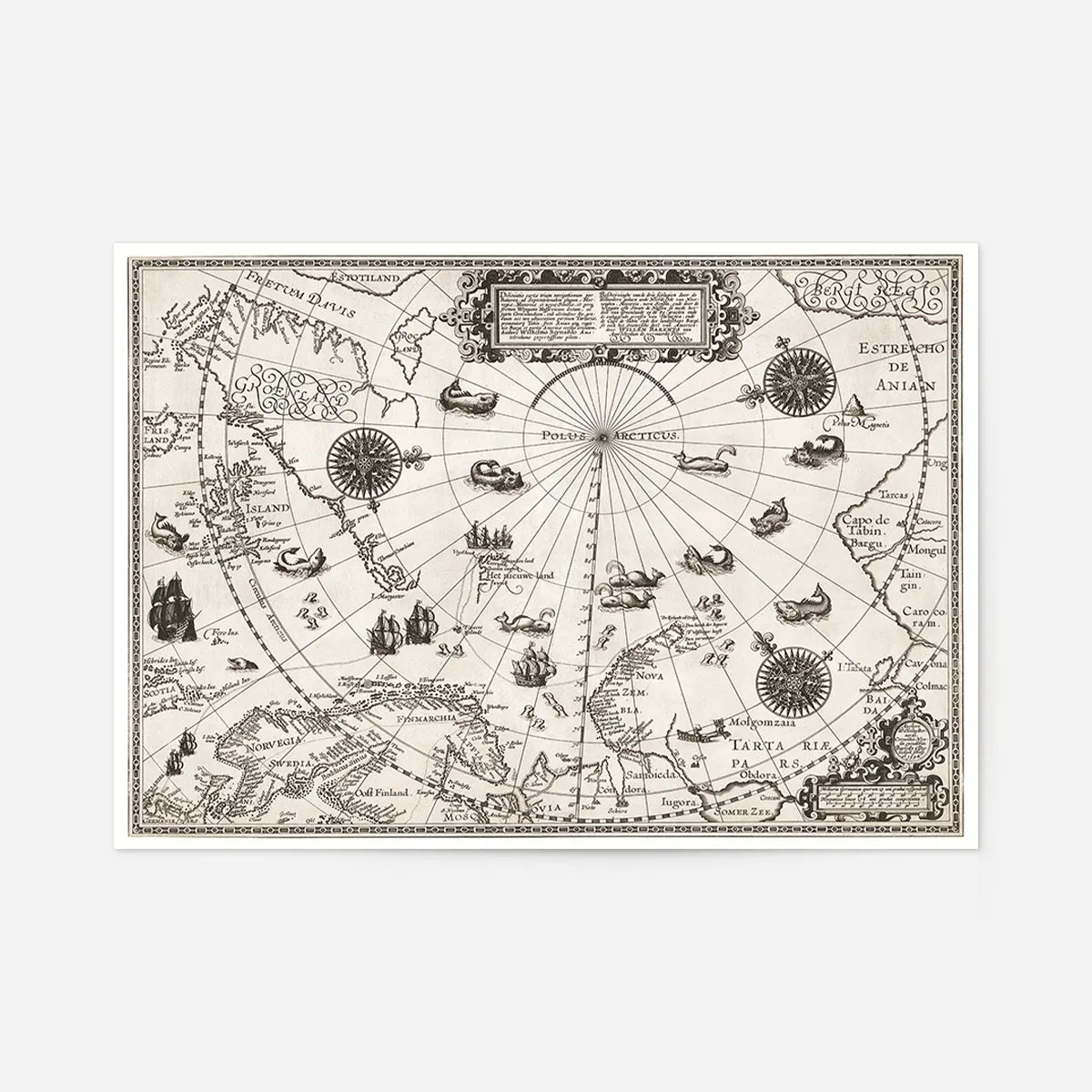 Map Of The Arctic from 1598