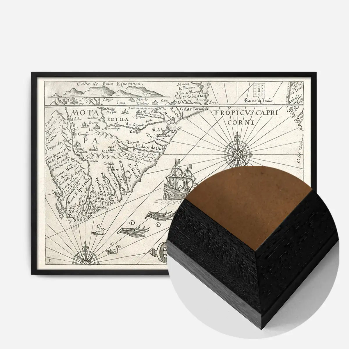 Vintage Oceanic Map