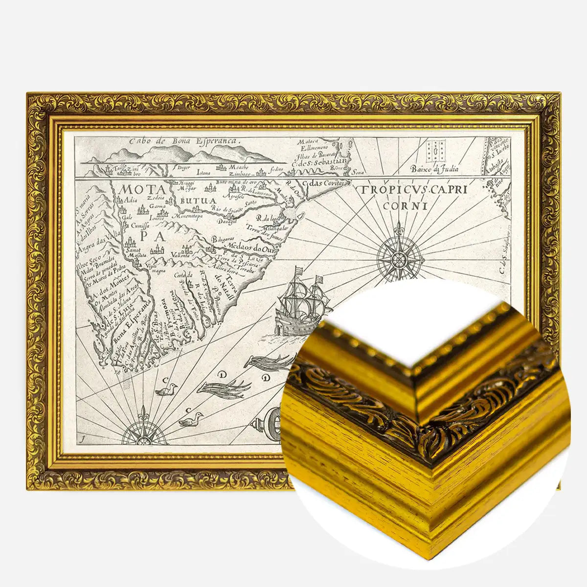 Vintage Oceanic Map