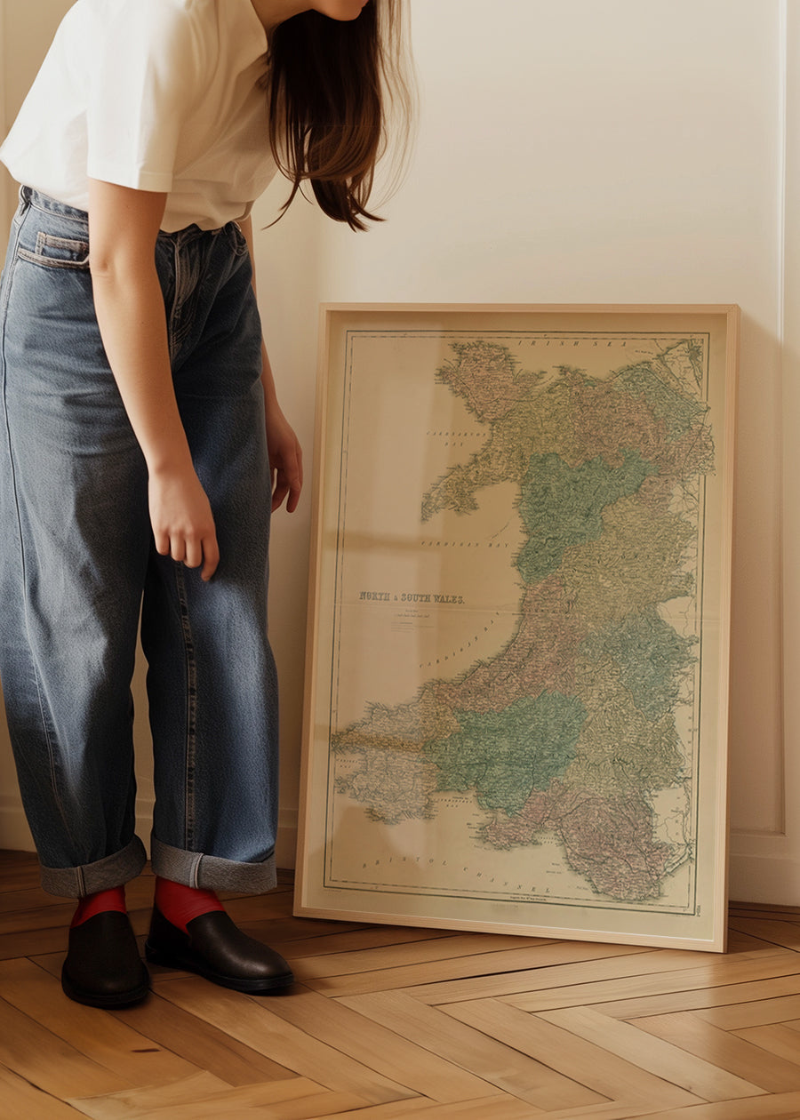 North & South Wales including Counties by Sidney Hall, Vintage 1856 Map Print