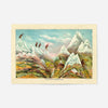 Nature in Ascending Regions Map Print by Levi Walter Yaggy