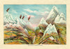 Nature in Ascending Regions Map Print by Levi Walter Yaggy